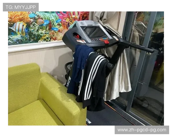 随缘机健身器材风靡健身房 是潮流噱头还是实用神器